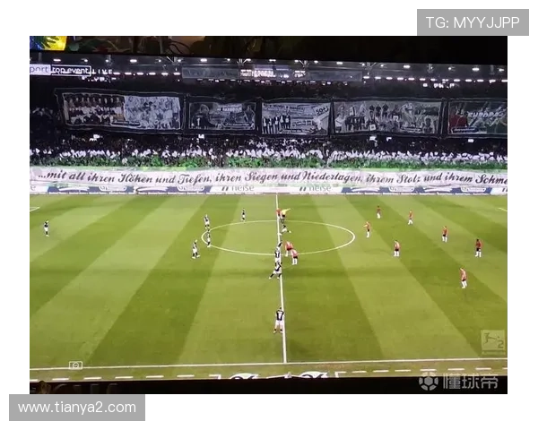 汉诺威96球迷全景Tifo庆130年